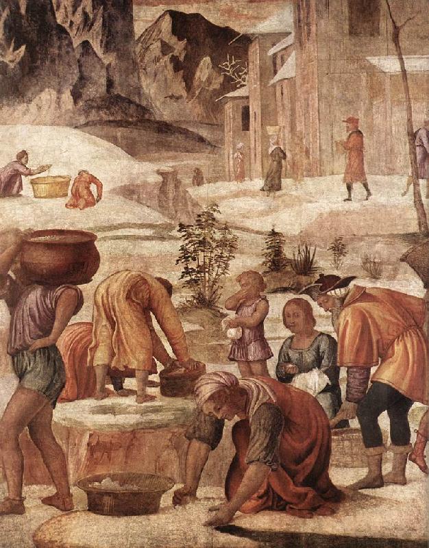 LUINI, Bernardino The Gathering of the Manna s china oil painting image